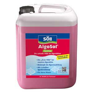 Algenmittel 'AlgoSol forte' 10 l