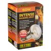 Exo Terra Wärmelampe Intense Basking Spot 50W