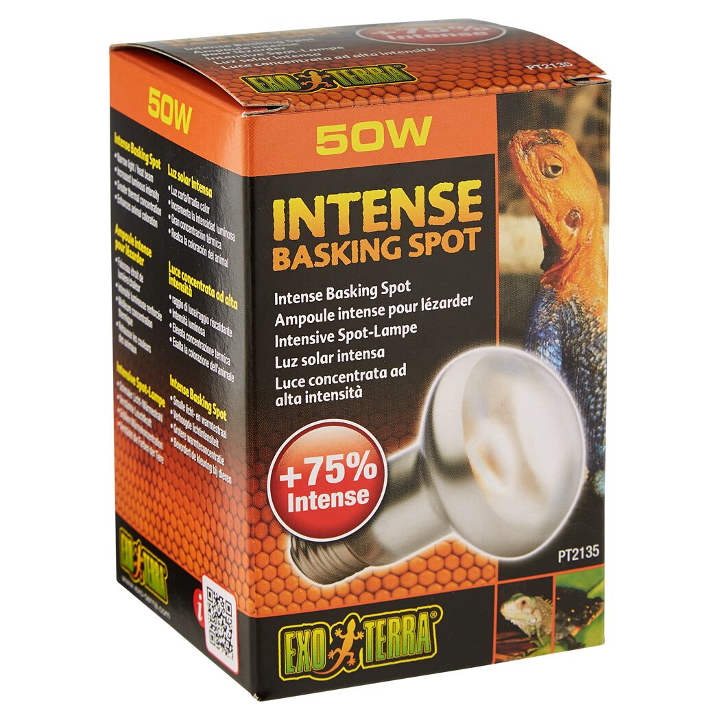 Exo Terra Wärmelampe Intense Basking Spot 50W
