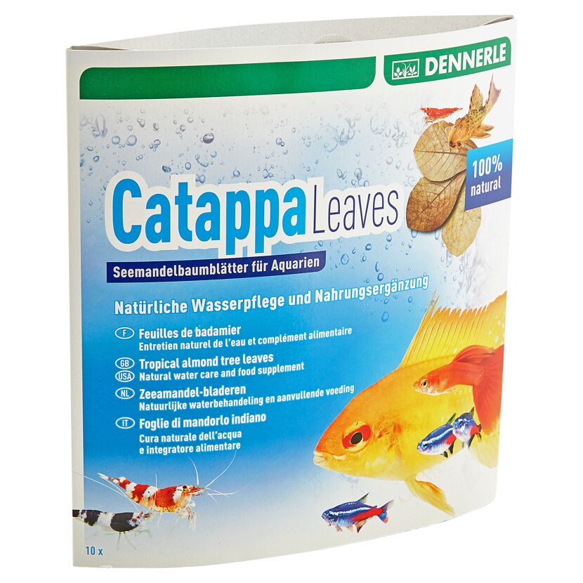 Dennerle Catappa Leaves Seemandelbaumblätter für Aquarien