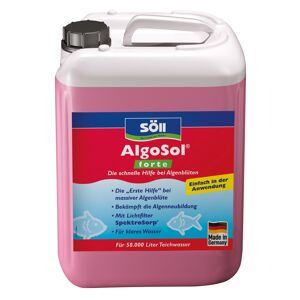 Algenmittel 'AlgoSol forte' 2,5 l