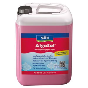 Algenmittel 'AlgoSol' 2,5 l