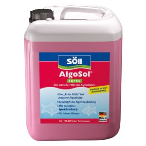 Algenmittel 'AlgoSol forte' 5 l