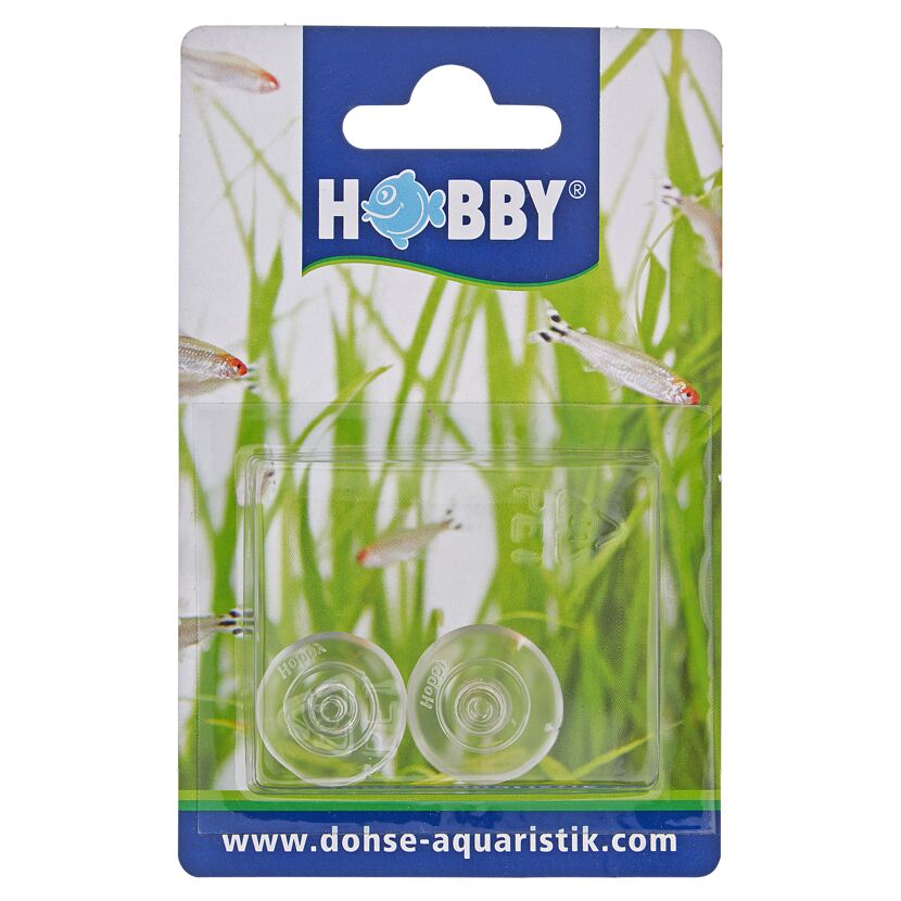 Zwei durchsichtige Lochsauger von Hobby