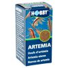 Hobby Artemia Eier