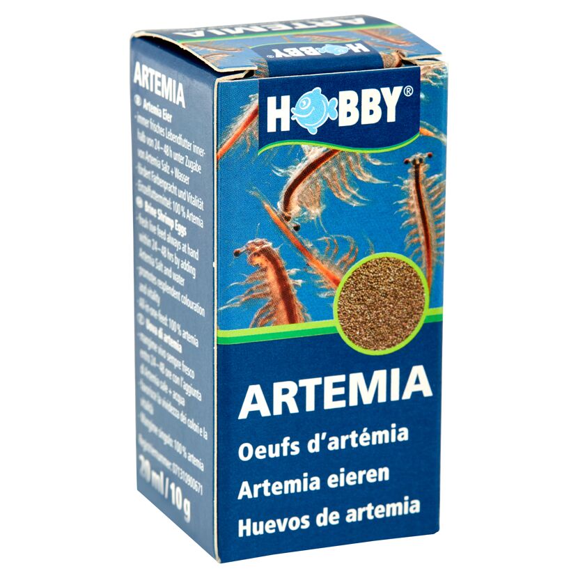 Hobby Artemia Eier