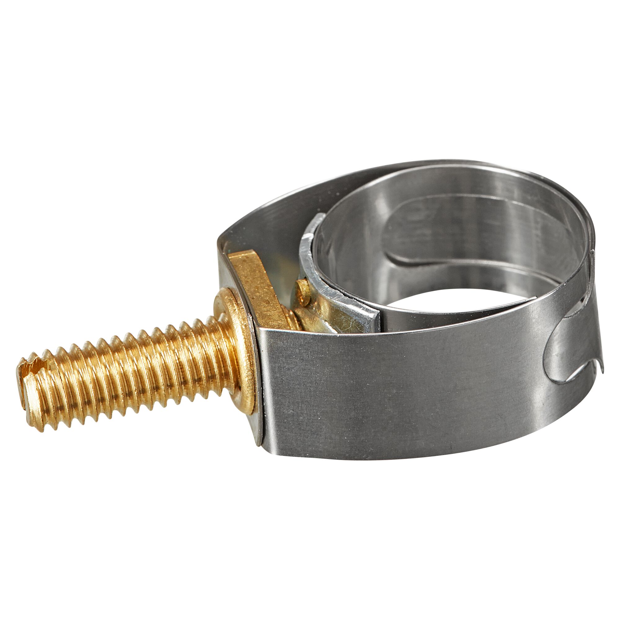 Metallene Schlauchklemme mit goldfarbener Schraube