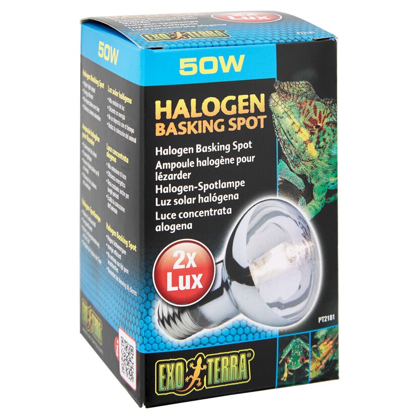 Halogenlampe "Halogen Basking Spot" 50 W