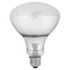 Exo Terra Solar Glo 125W Terrarienlampe