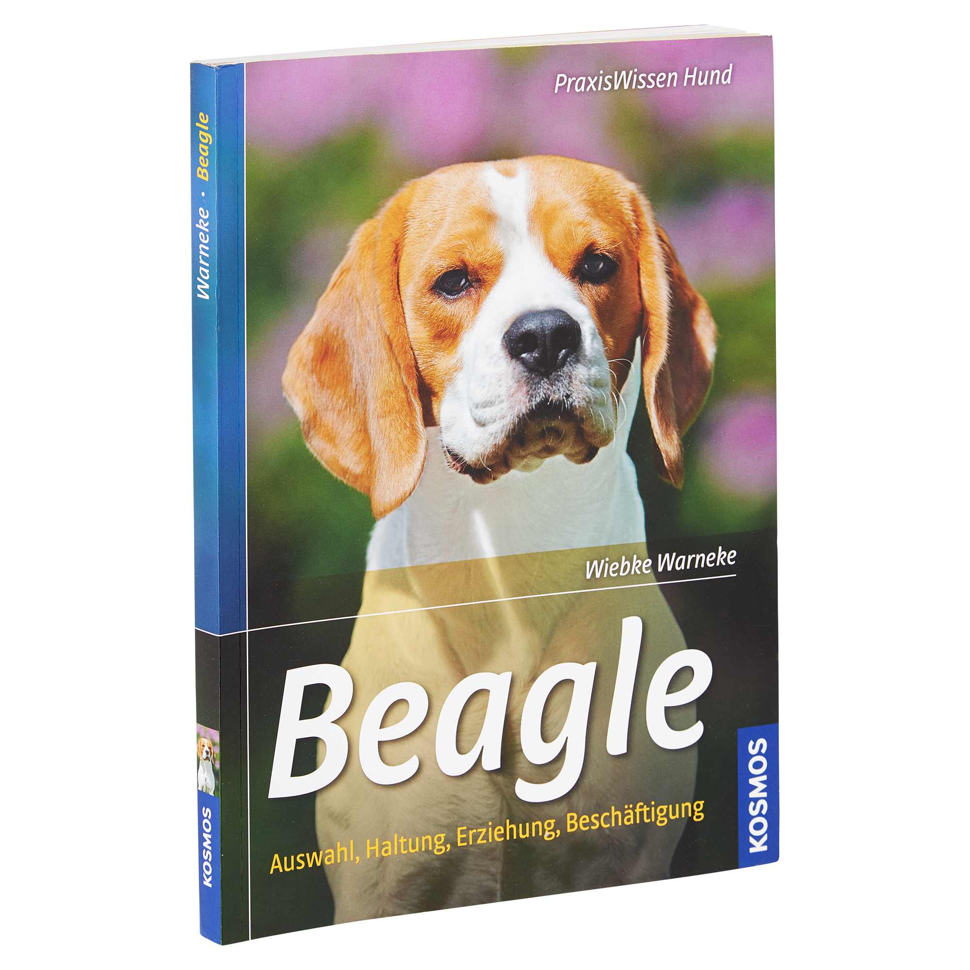 Kosmos-Tierratgeber "Beagle: Auswahl, Haltung, Erziehung, Beschäftigung" PB 128 S. + product picture