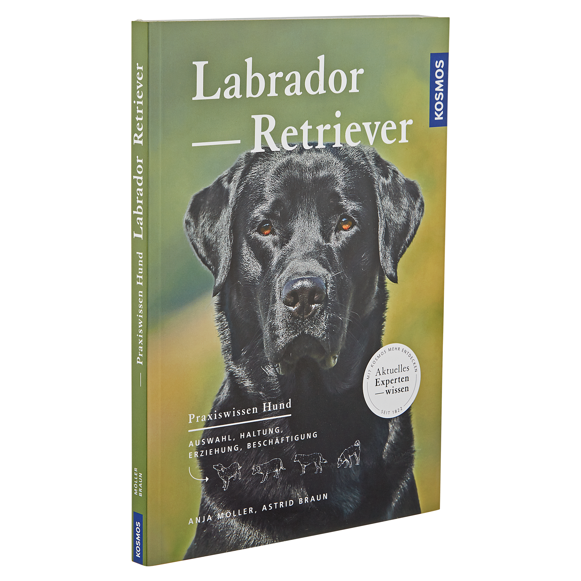 Kosmos-Hunderatgeber "Labrador – Retriever" PB 144 S. + product picture