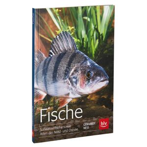 BLV-Tierratgeber "Fische: Süßwasserfische sowie Arten der Nord- und Ostsee" PB 128 S.
