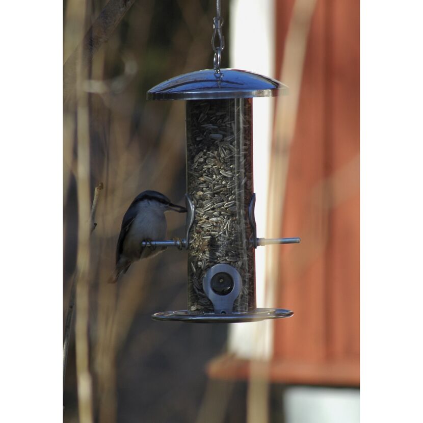 Vogel isst aus einem hängenden Vogelfutterhäuschen