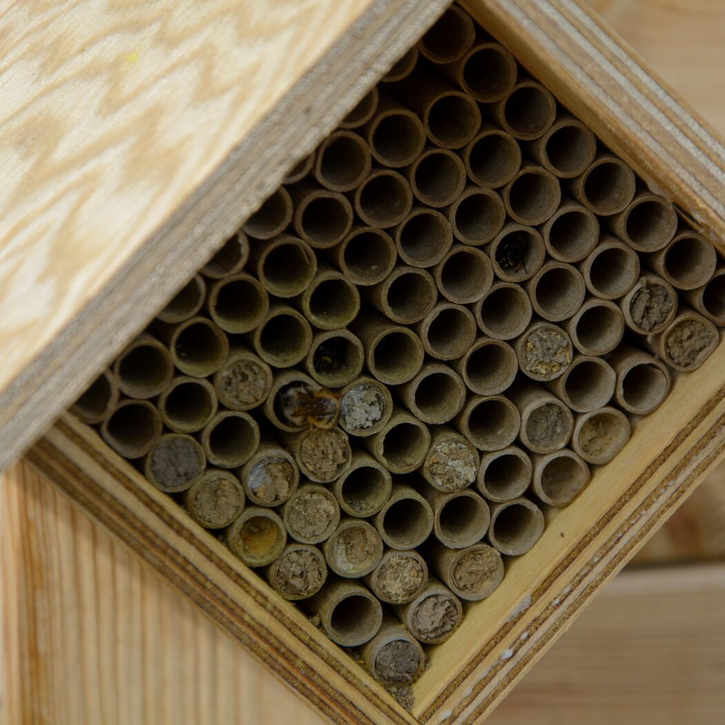 Bienenhotel 'Raute'