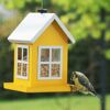 Blaumeise an gelbem Futterhaus