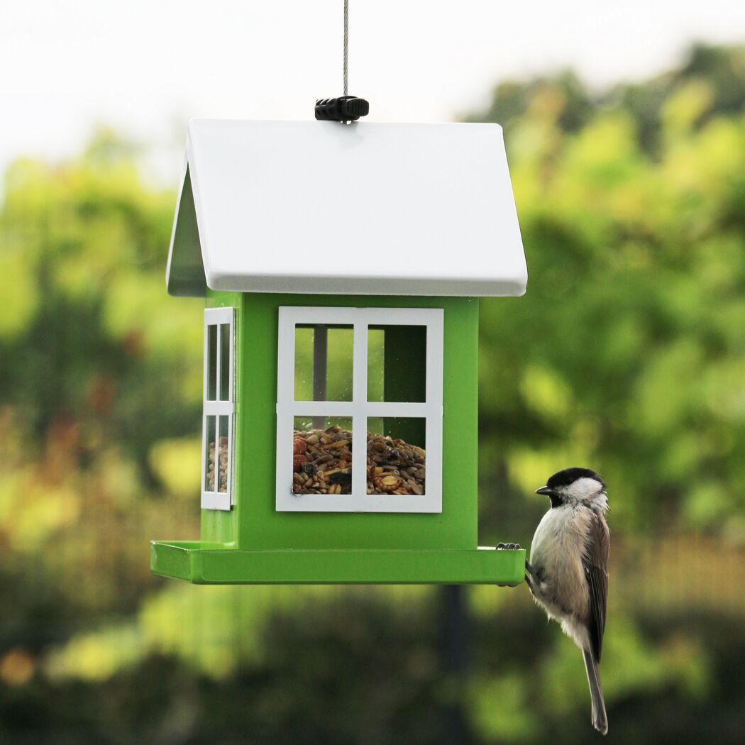 Vogelhäuschen Mia mit Vogel