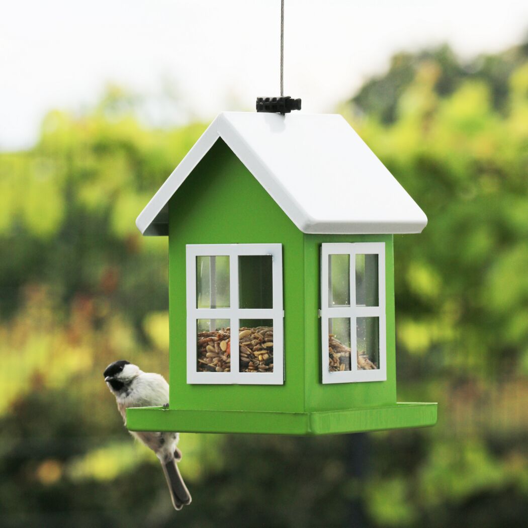 Vogelhaus Mia in Grün mit Vogel