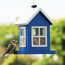 Blaumeise am blauen Futterhaus Lea