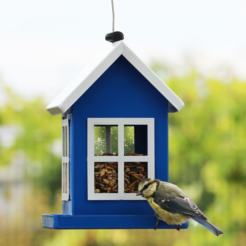 Blaues Futterhaus Lea mit Vogel