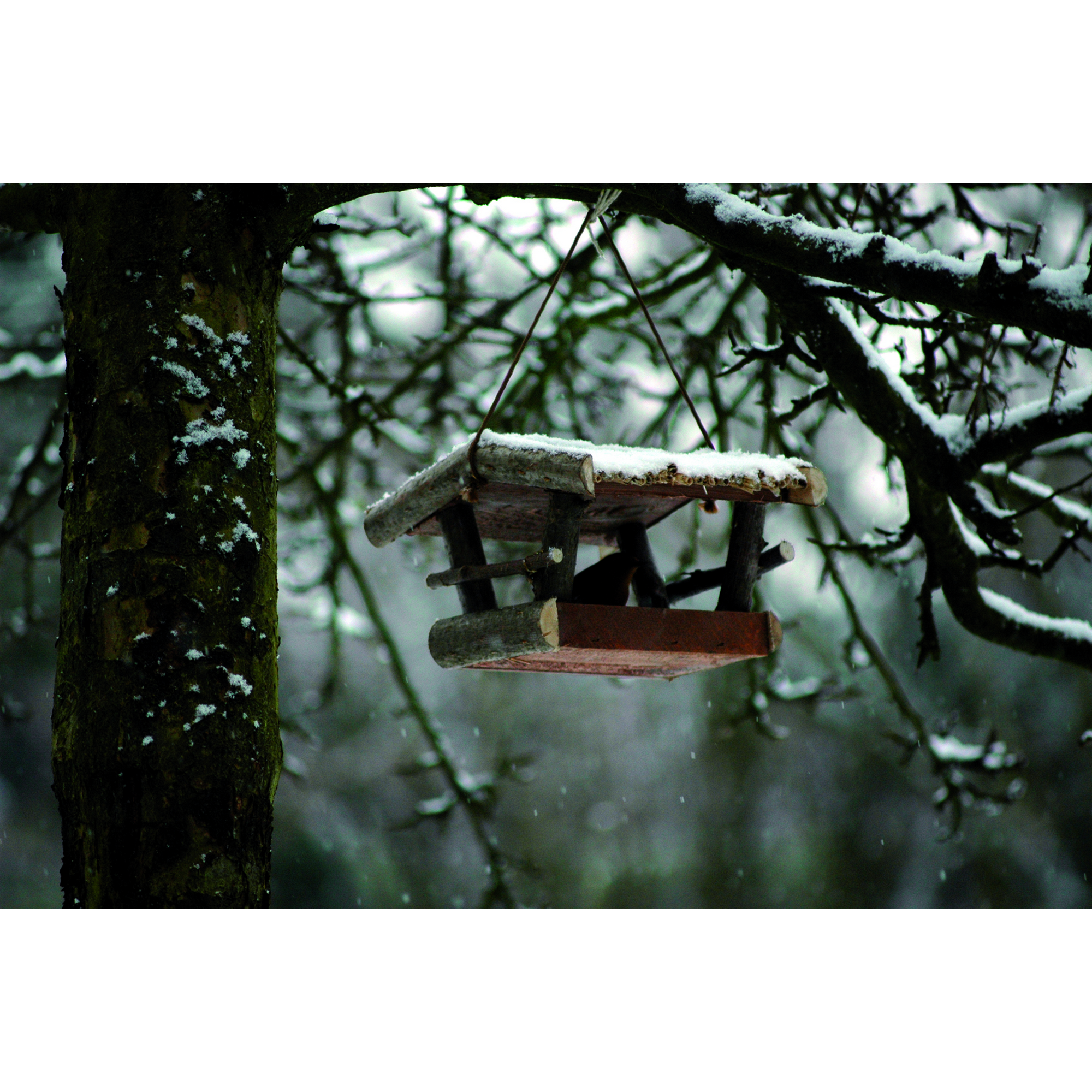 Vogelfutterhaus aus Birke 24 x 15 x 21 cm + product picture