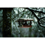 Verkleinertes Bild von Vogelfutterhaus aus Birke 24 x 15 x 21 cm