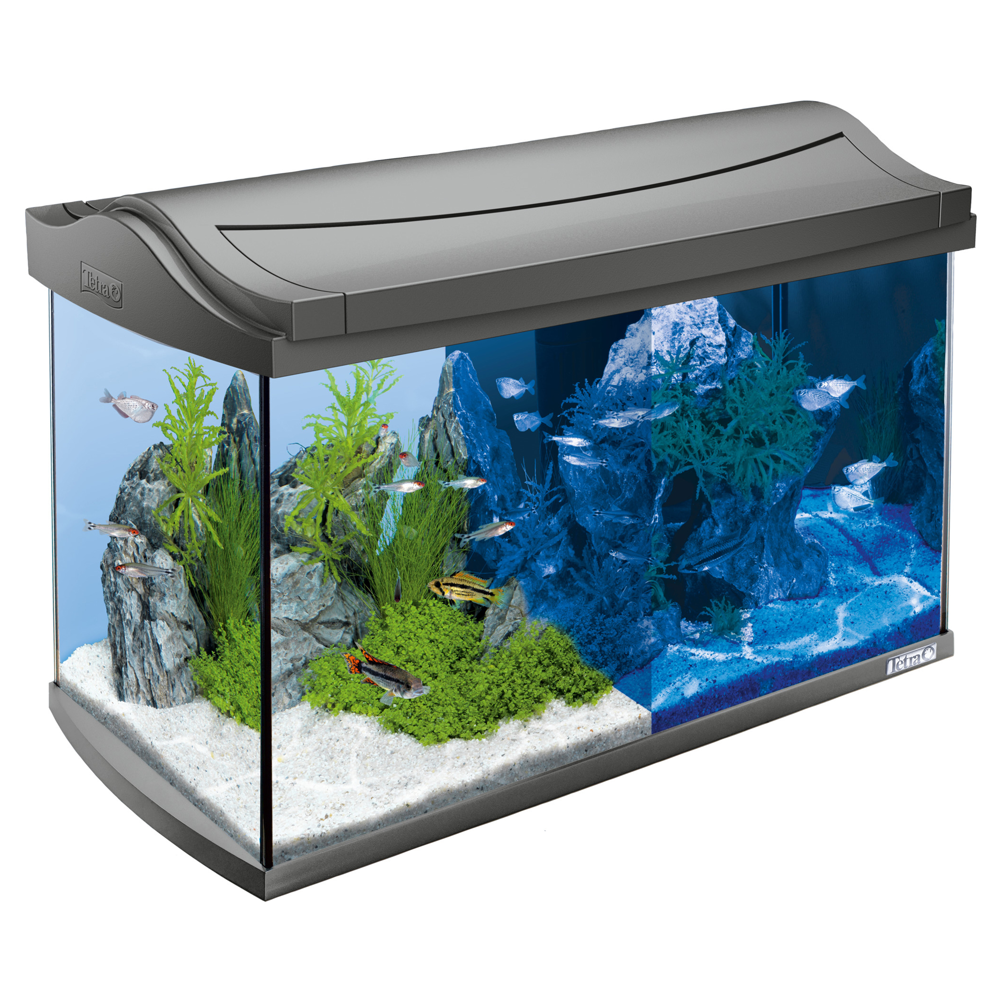 Aquariumset "AquaArt" 60 l anthrazit + product picture
