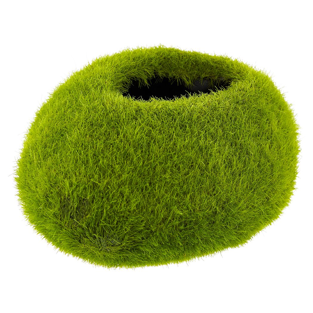 Moosball mit Loch in der Mitte
