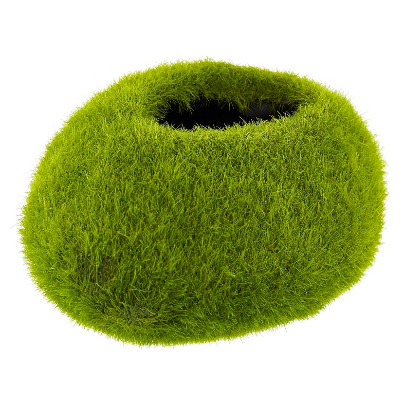 Moosball mit Loch in der Mitte