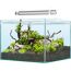 Aquarium mit LED-Beleuchtung und Bepflanzung