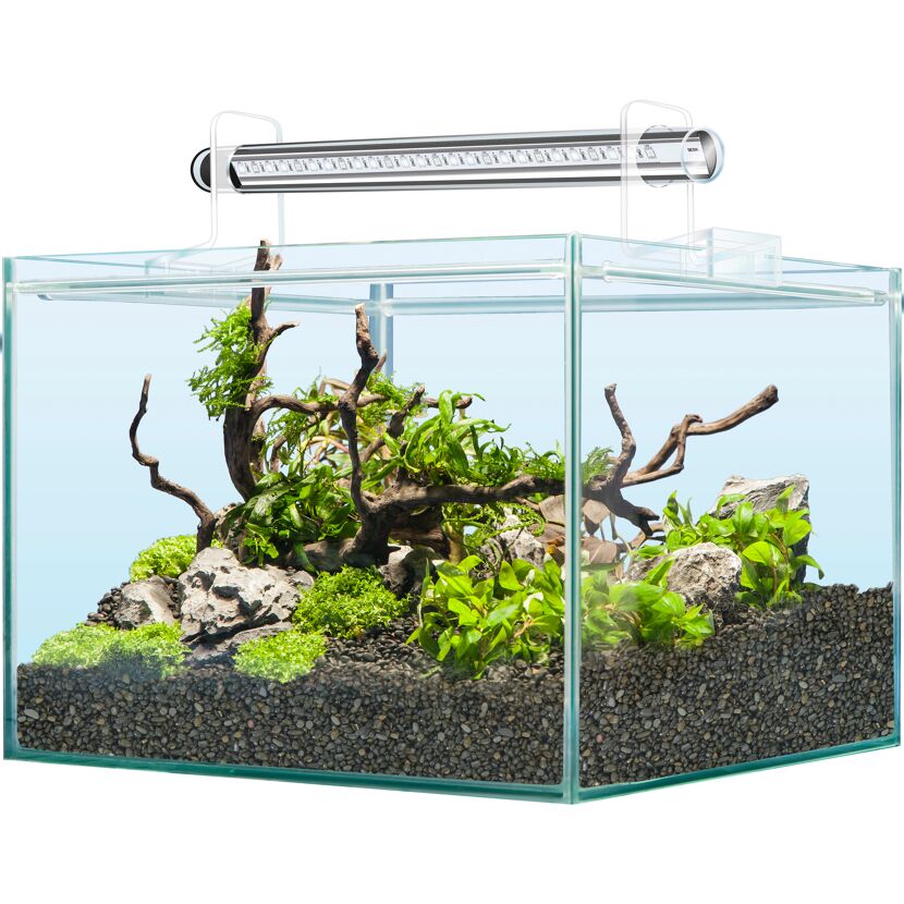 Aquarium mit LED-Beleuchtung und Bepflanzung