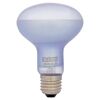 Exo Terra Day Glo 100W Tageslichtlampe