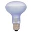Exo Terra Day Glo 100W Tageslichtlampe