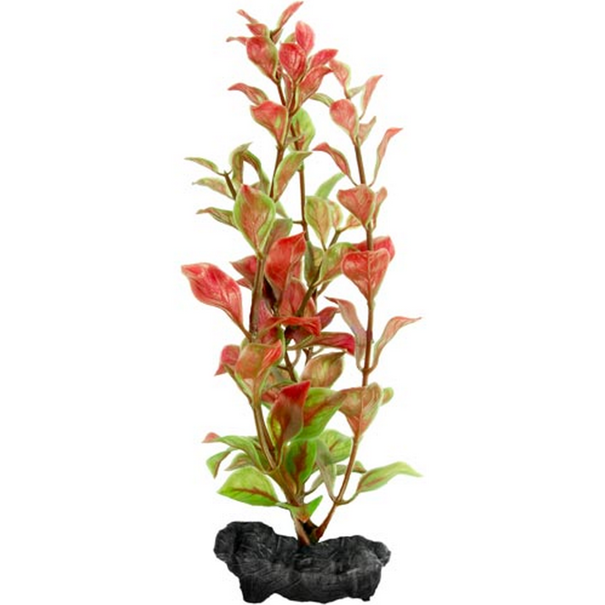 Aquarienpflanze "DecoArt Plantastics" Red Ludwigia Gr. T-5 + product picture