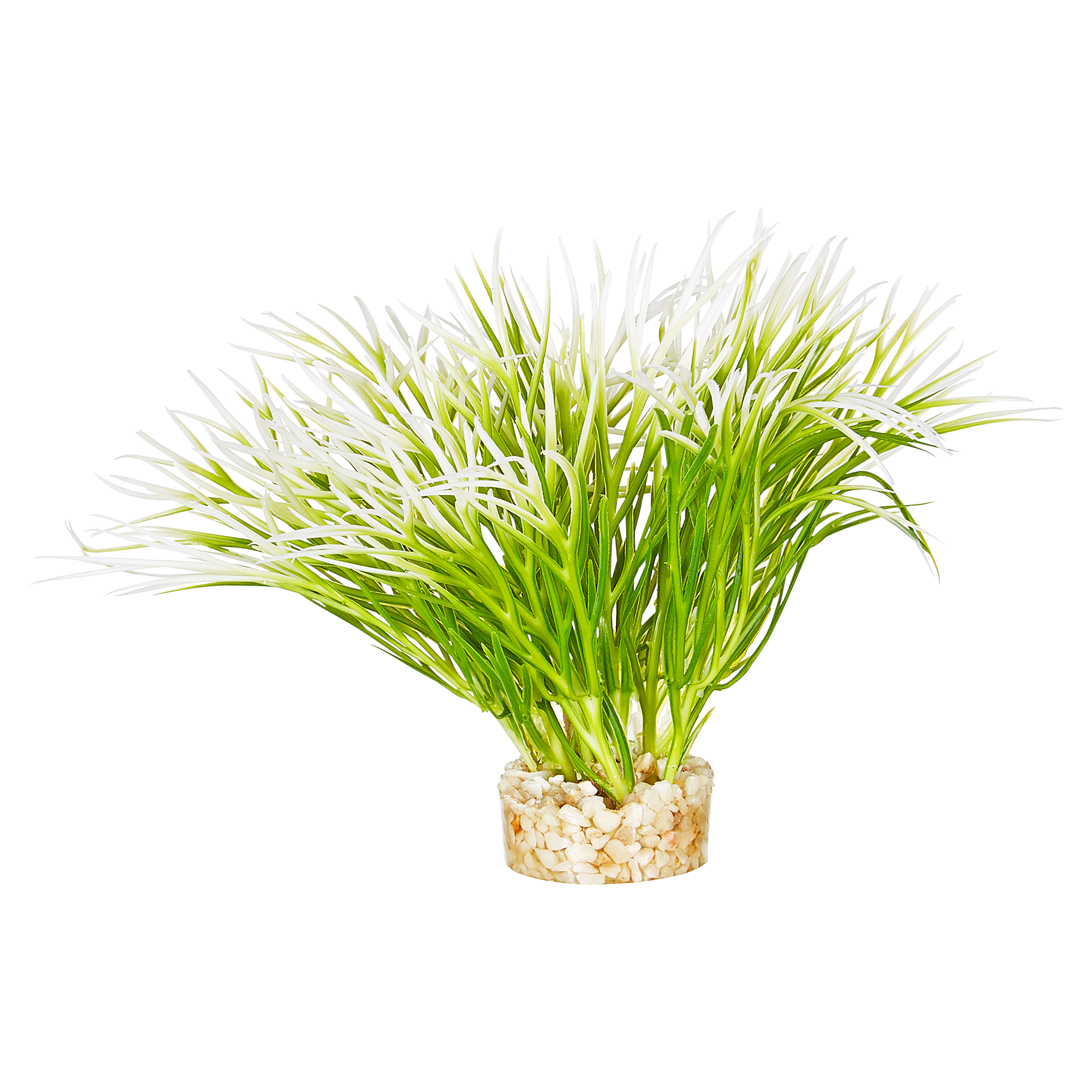 Aquarienpflanze "Aquatic Grass" Kunststoff 10 cm + product picture
