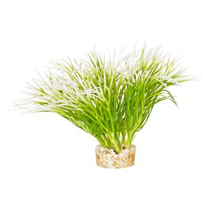 Aquarienpflanze "Aquatic Grass" Kunststoff 10 cm