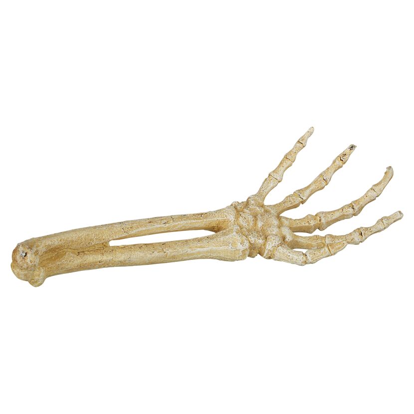 Skelett-Hand aus Polyresin