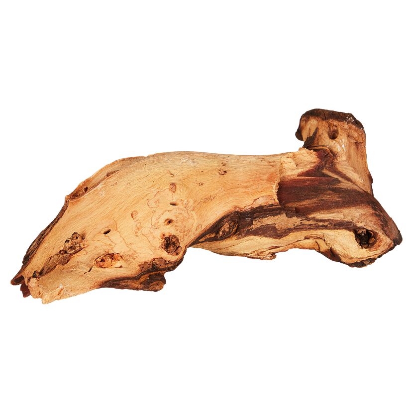 Mopani Dekowurzel