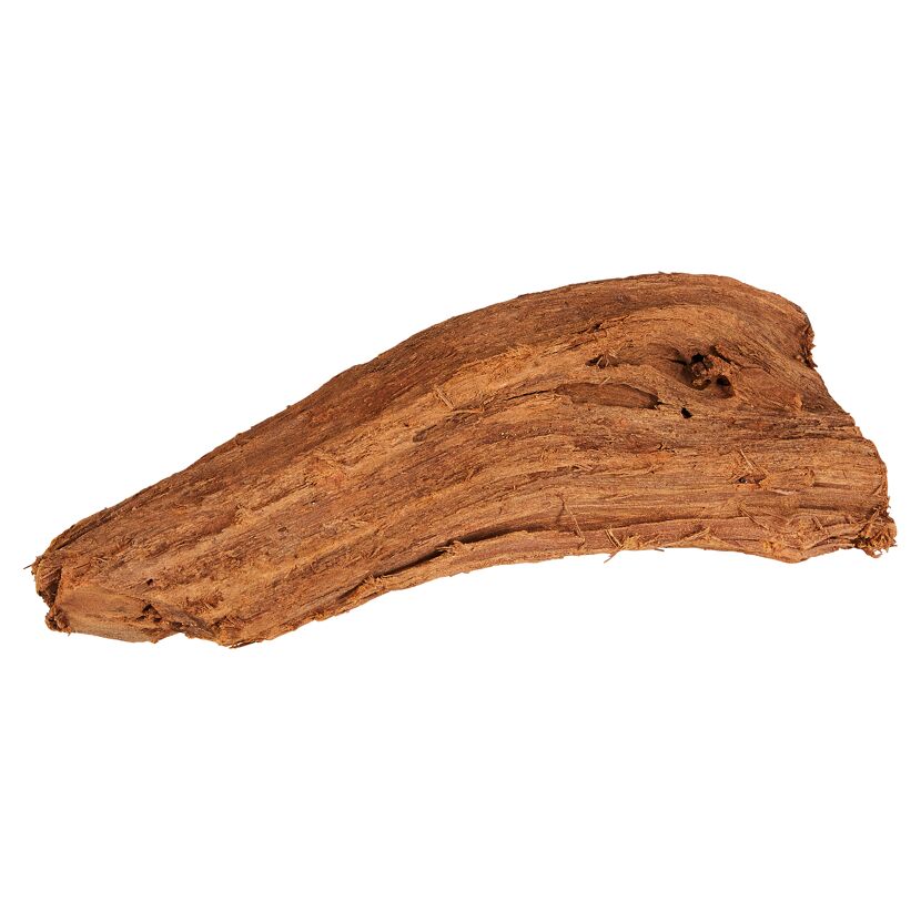 Mangrovenholz