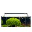 Aquarium mit Dennerle LED-Beleuchtung