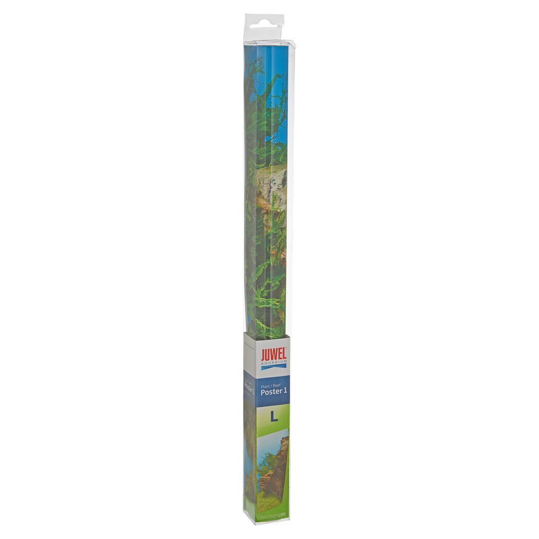 Poster für Aquarium Unterwasserlandschaft 100 x 50 cm