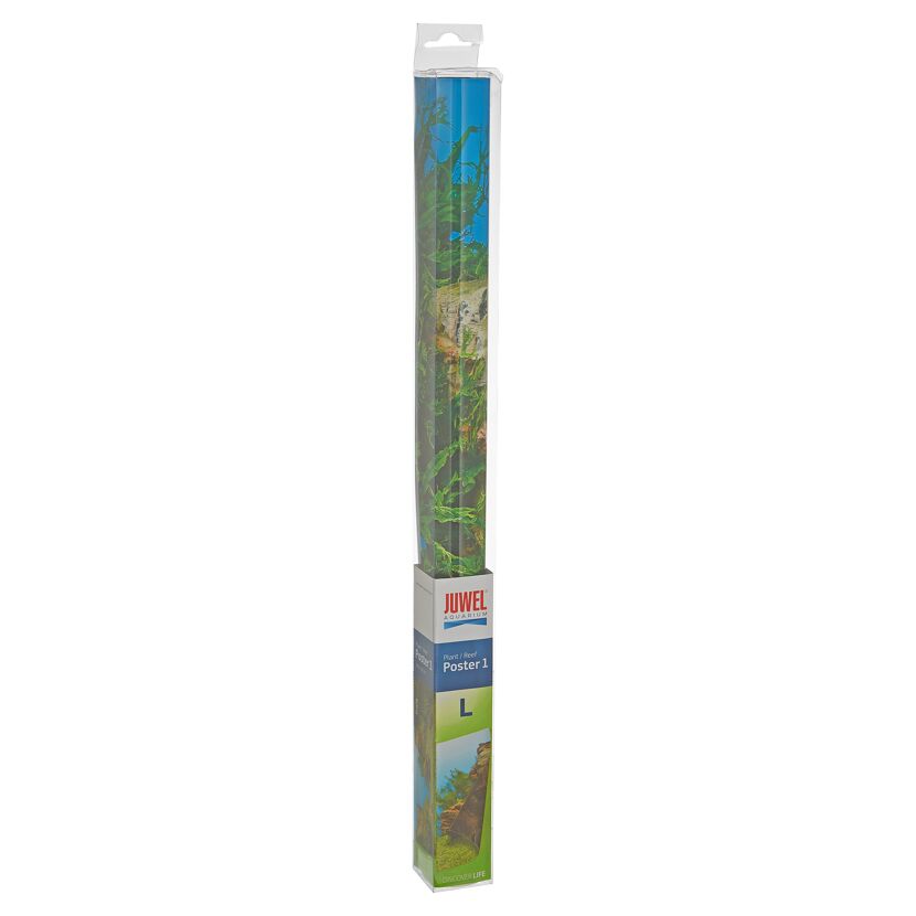 Poster für Aquarium Unterwasserlandschaft 100 x 50 cm