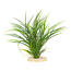 Verkleinertes Bild von Aquarienpflanze "Fan Grass" Kunststoff 30 cm 2 Stück