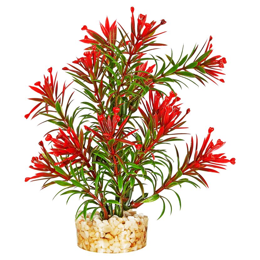 Künstliche Aquarienpflanze Papyrus rot-grün