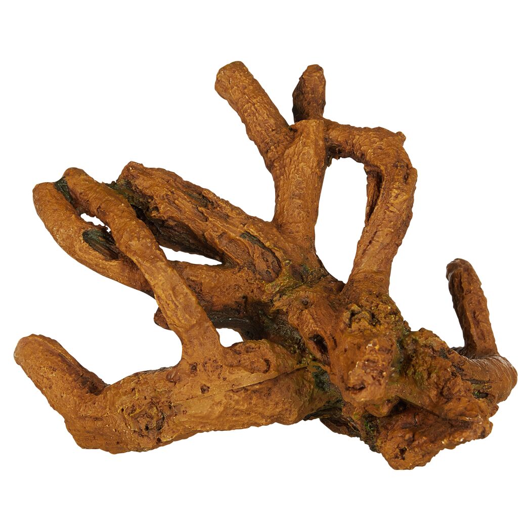 Braune Mangrovenwurzel