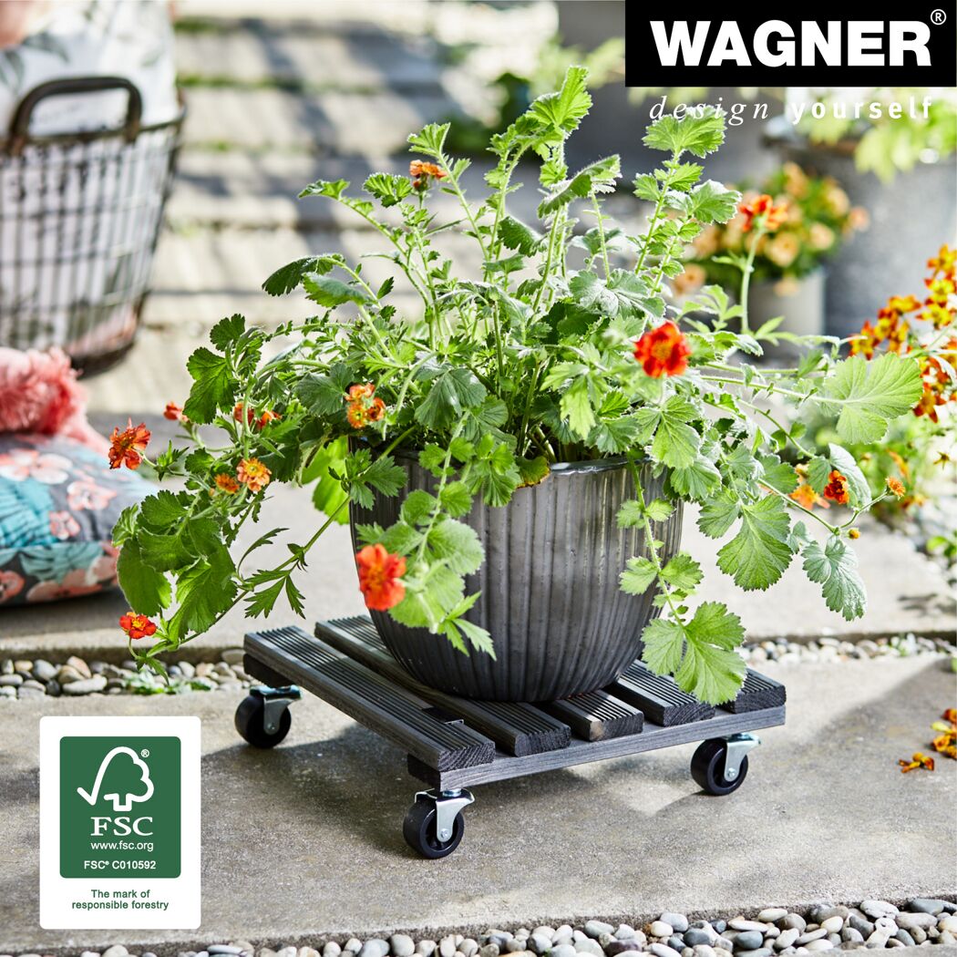 Blumentopf auf einem Pflanzenroller