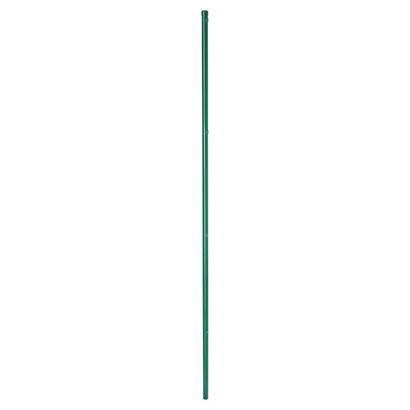 Grüner Zaunpfahl