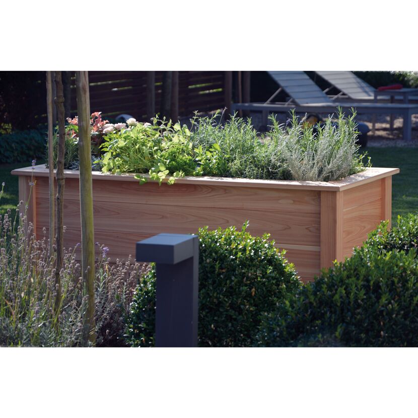 Hochbeet aus Douglasie mit Kräutern und Blumen bepflanzt