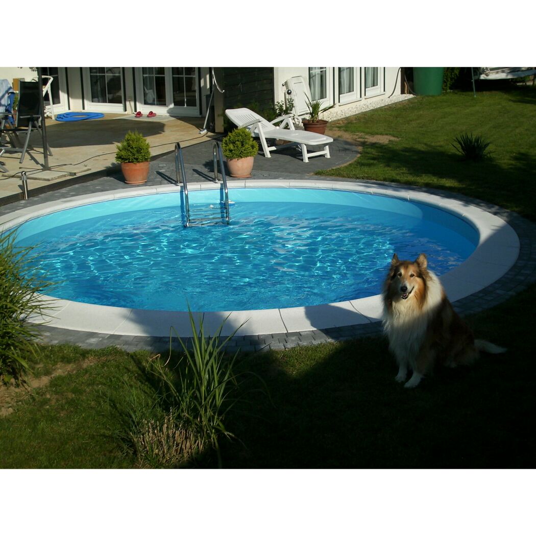 Rundes Schwimmbecken mit Hund