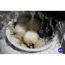 Verkleinertes Bild von Filterballs für Sandfilteranlagen 'Aqualoon' 700 g