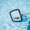 Kescher mit Blättern im Pool